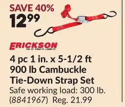 Princess Auto 4 pc 1 in. x 5-1/2 900 lb Cambuckle Tie-Down Strap Set offer