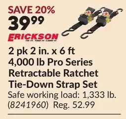 Princess Auto 2 pk 2 in. x 6 4,000 lb Pro Series Retractable Ratchet Tie-Down Strap Set offer