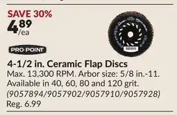 Princess Auto 4-1/2 in. Ceramic Flap Discs offer
