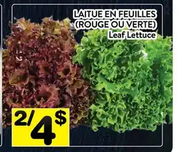 Supermarché PA LAITUE EN FEUILLES | Leaf Lettuce offer