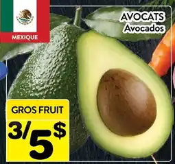Supermarché PA AVOCATS | Avocados offer