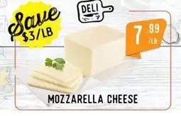 Tavora Foods Mozzarella cheese offer