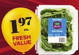 Giant Tiger 5 oz baby spinach offer