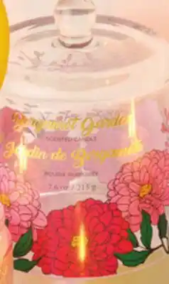 Giant Tiger 7.6 oz jar candle offer