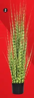 Canadian Tire Naturae Décor ZEBRA GRASS IN BLACK POT, 47˝ offer