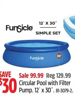 Canadian Tire Funsicle Circular Pool with Filter Pump offer