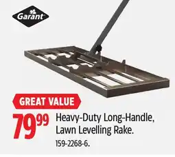 Canadian Tire GARANT Heavy-Duty Long-Handle, Lawn Levelling Rake offer