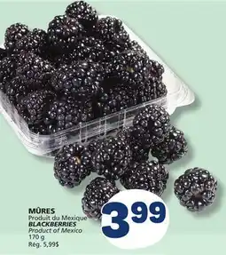 Marché Bonichoix BLACKBERRIES offer