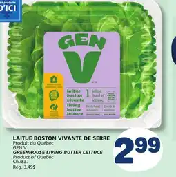 Marché Bonichoix GEN V GREENHOUSE LIVING BUTTER LETTUCE offer