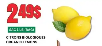 Marches Tau CITRONS BIOLOGIQUES offer