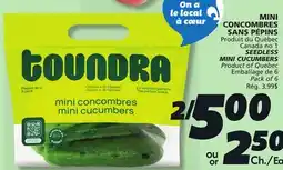 IGA SEEDLESS MINI CUCUMBERS offer