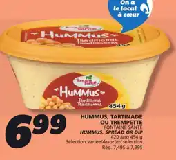 IGA FONTAINE SANTÉ HUMMUS, SPREAD OR DIP offer
