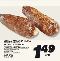 IGA JICAMA OR MALANGA ISLENA Products of Mexico OR YUCCA Product of Costa Rica offer