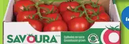 IGA SALADIO, TOMATRIO OR CERIZO TOMATOES offer