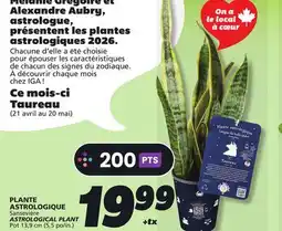 IGA ASTROLOGICAL PLANT offer