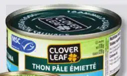 IGA CLOVER LEAF FLAVOURED, WHOLE OR SKIPJACK LIGHT TUNA offer