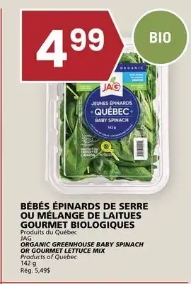 Rachelle-Bery Grocery JAG ORGANIC GREENHOUSE BABY SPINACH OR GOURMET LETTUCE MIX offer