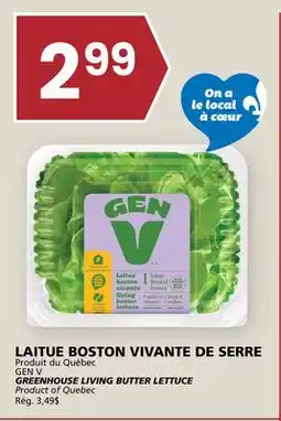 Rachelle-Bery Grocery GREENHOUSE LIVING BUTTER LETTUCE offer