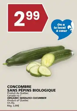 Rachelle-Bery Grocery ORGANIC SEEDLESS CUCUMBER offer
