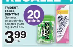 Brunet TRIDENT, EXCEL, DENTYNE Gommes sélectionnées offer