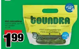 Super C mini concombres | mini cucumbers offer
