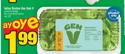 Super C laitue Boston duo Gen V | Gen V duo Boston lettuce offer