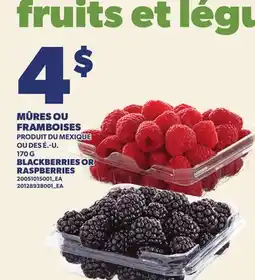 Provigo MÛRES OU FRAMBOISES, 170 G | BLACKBERRIES OR RASPBERRIES offer