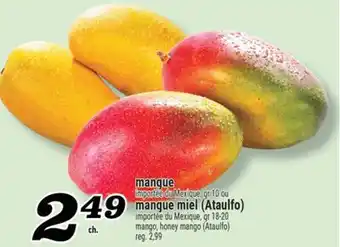 Marché Richelieu MANGUE | MANGO offer