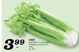 Marché Richelieu CÉLERI | CELERY offer