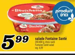 Marché Richelieu SALADE FONTAINE SANTÉ | FONTAINE SANTÉ SALAD offer