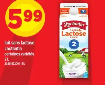 Maxi LAIT SANS LACTOSE LACTANTIA offer