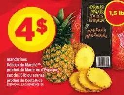 Maxi MANDARINES DÉLICES DU MARCHÉ offer