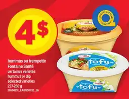 Maxi HUMMUS OU TREMPETTE FONTAINE SANTÉ | HUMMUS OR DIP offer