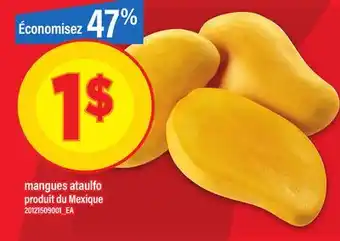 Maxi MANGUES ATAULFO offer