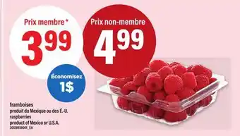 Maxi FRAMBOISES | RASPBERRIES offer