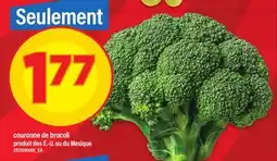 Maxi COURONNE DE BROCOLI offer