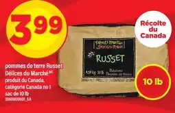 Maxi POMMES DE TERRE RUSSET DÉLICES DU MARCHÉ, sac de 10 lb offer