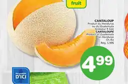 Marches Tradition CANTALOUPE offer