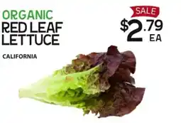 Pomme Natural Market Organic red leaf lettuce offer