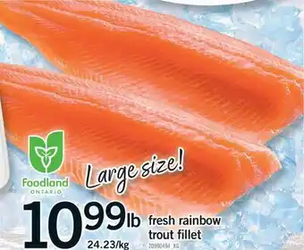 Fortinos FRESH RAINBOW TROUT FILLET offer