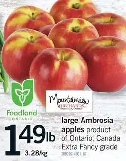 Fortinos LARGE AMBROSIA APPLES offer