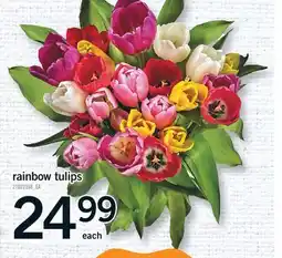 Fortinos RAINBOW TULIPS offer