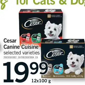 Fortinos CESAR CANINE CUISINE offer