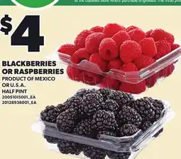 Loblaws BLACKBERRIES OR RASPBERRIES offer