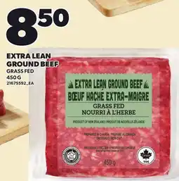 Loblaws EXTRA LEAN GROUND BEEF offer