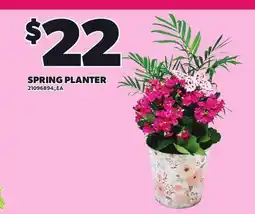 Loblaws SPRING PLANTER offer