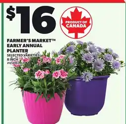 Loblaws FARMER'S MARKET EARLY ANNUAL PLANTER, 8 INCH offer