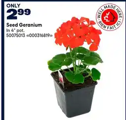 RONA Seed Geranium offer