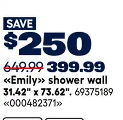 RONA OVE Emily shower wall 31.42 x 73.62 offer