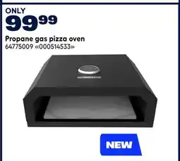 RONA LAFLAMME & Co Propane gas pizza oven offer
